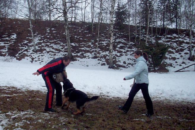 100_2875.jpg