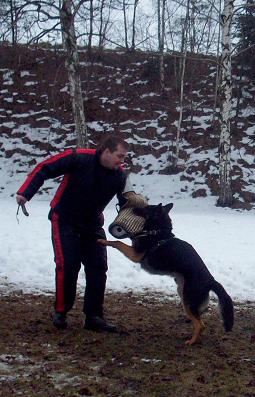 100_2878.jpg