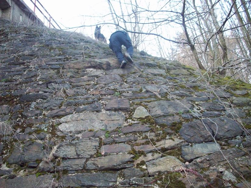 100_3144.jpg