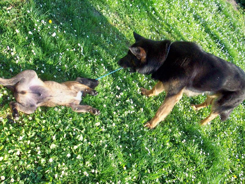 100_3417.jpg