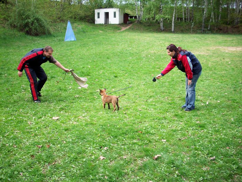 100_3456.jpg