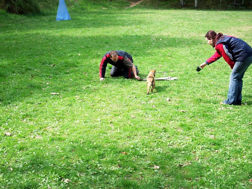 100_3458.jpg