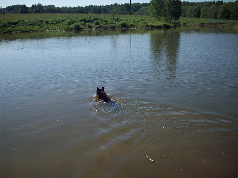 100_3697.jpg
