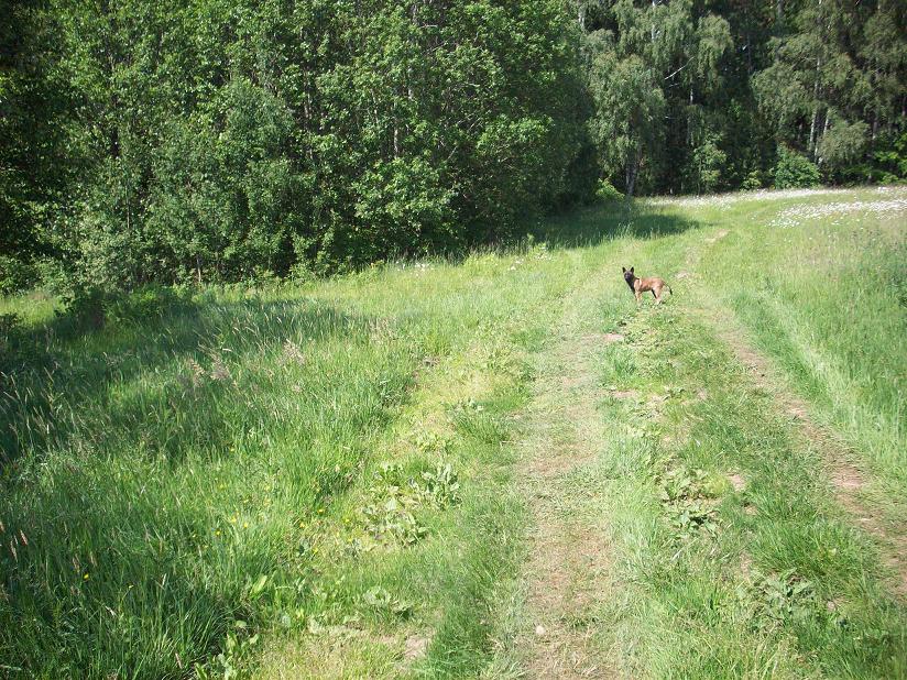 100_3703.jpg