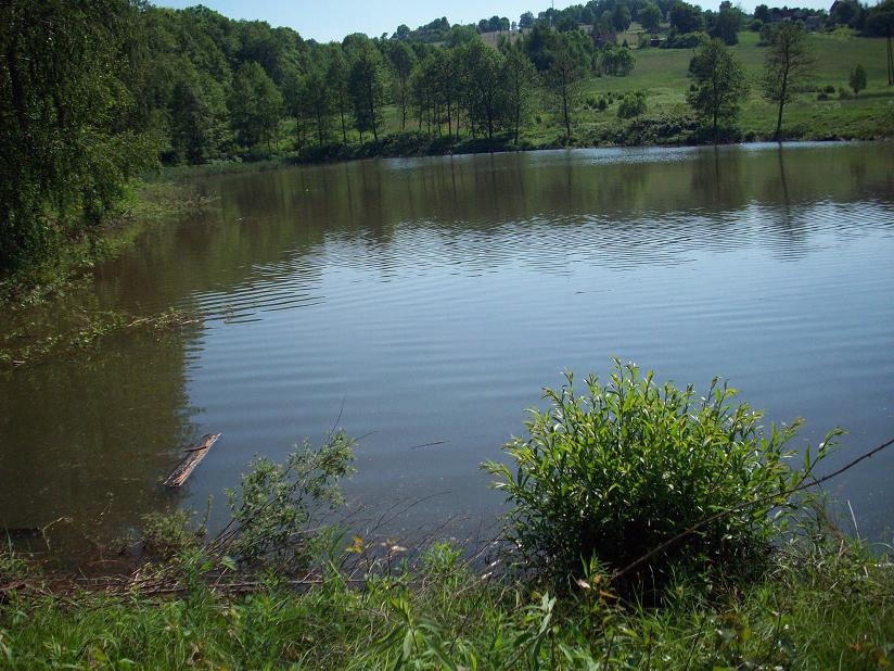 100_3704.jpg