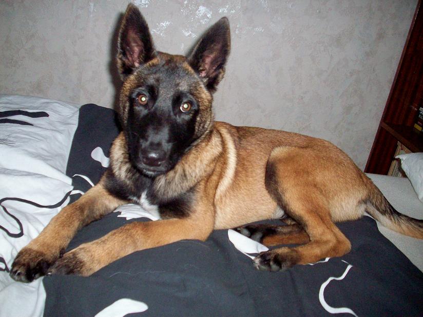 100_3900.jpg