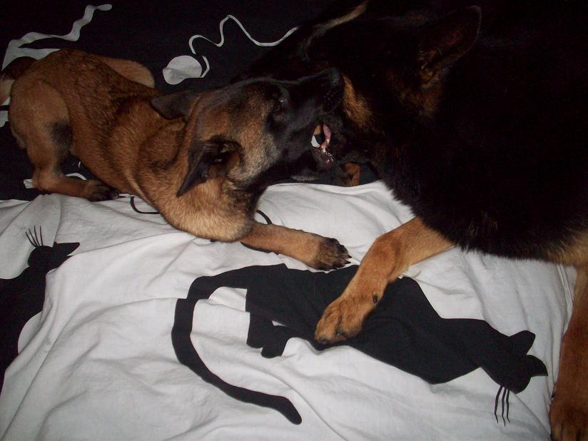 100_3905.jpg