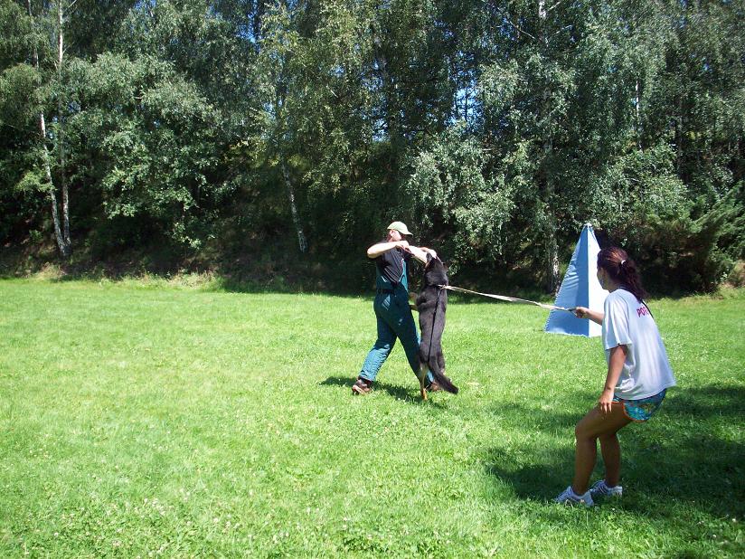 100_4773.jpg