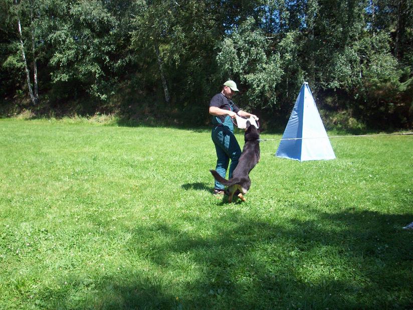 100_4775.jpg
