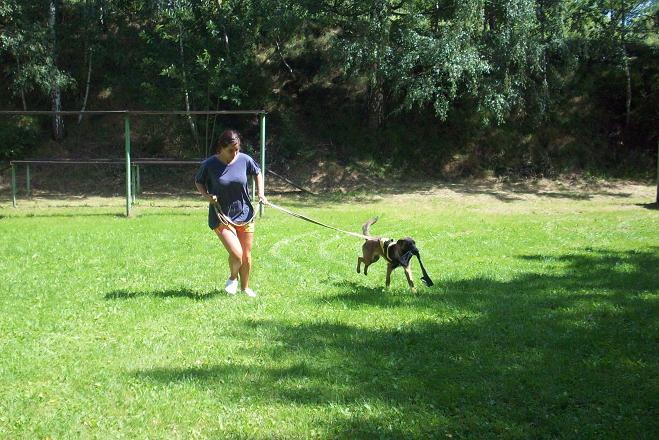 100_5027.jpg