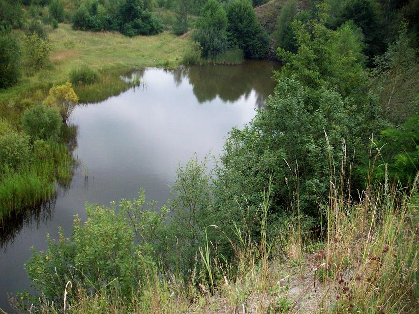 100_5039.jpg