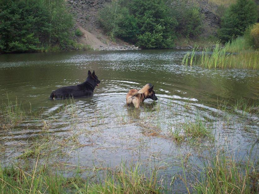 100_5050.jpg
