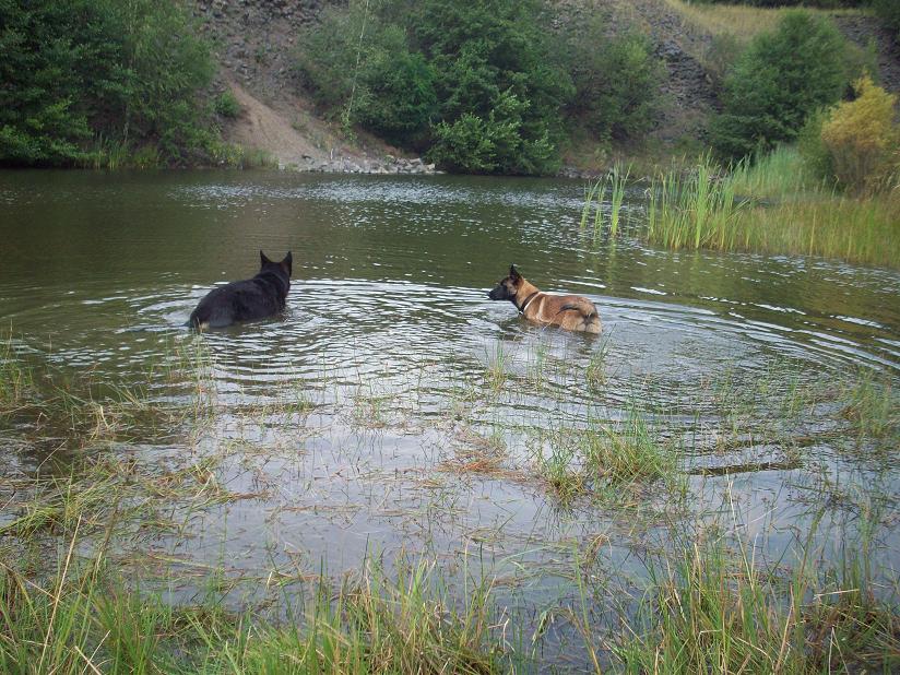 100_5051.jpg