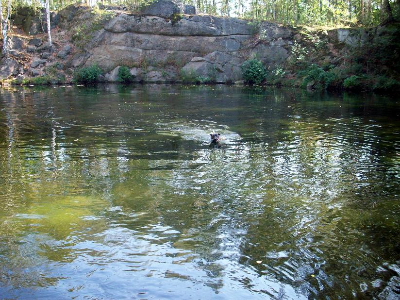 100_5221.jpg