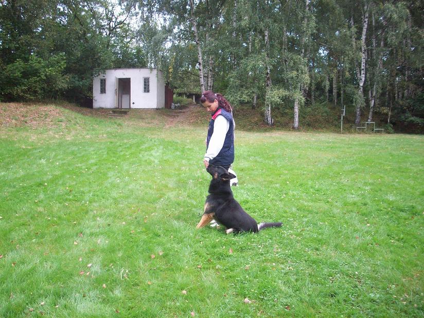 100_5374.jpg