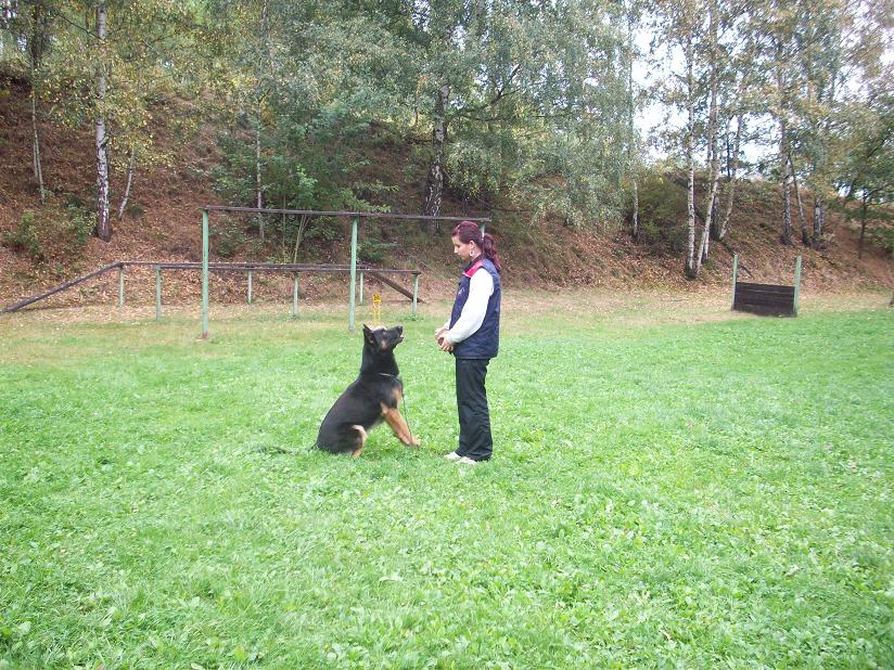 100_5381.jpg