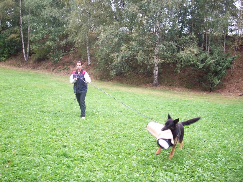 100_5411.jpg