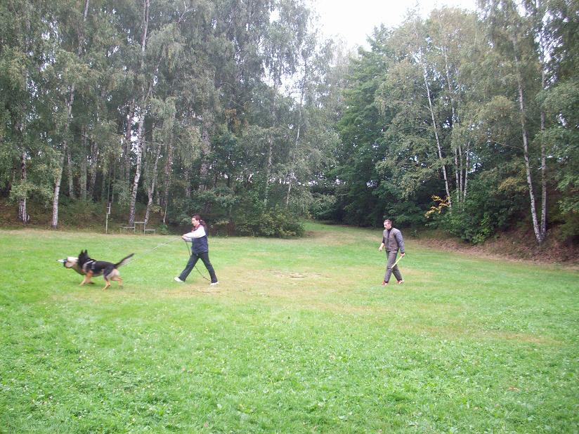 100_5416.jpg