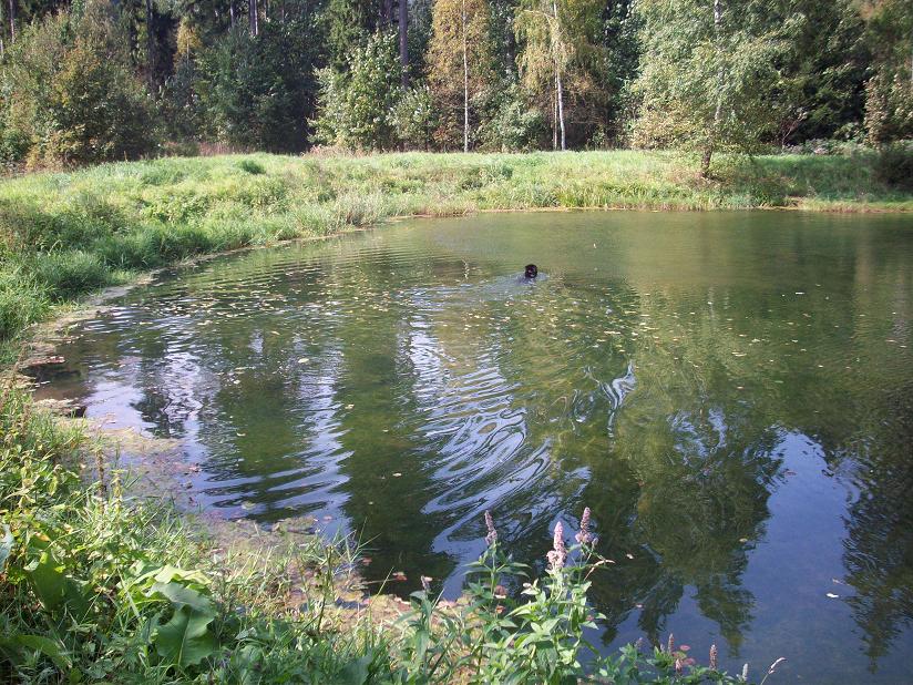 100_5621.jpg