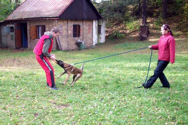 100_5998.jpg
