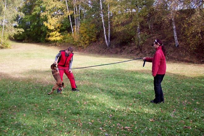100_6033.jpg