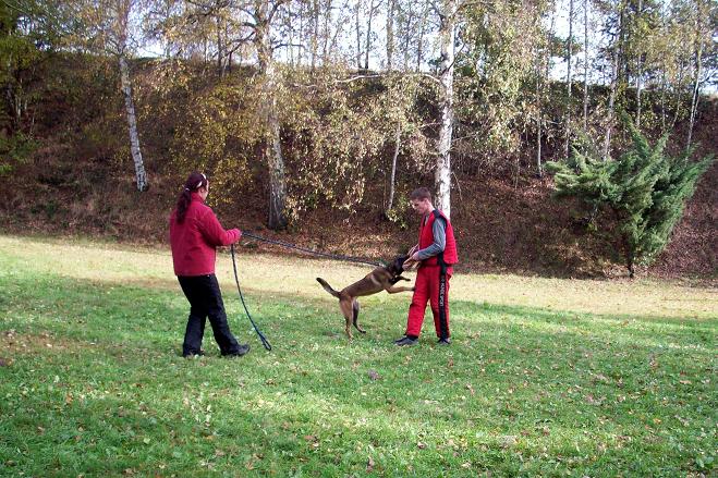 100_6036.jpg
