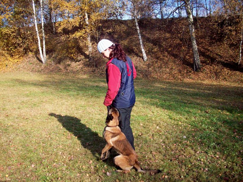 100_6080.jpg