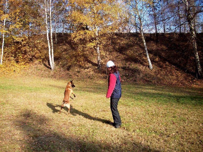 100_6086.jpg