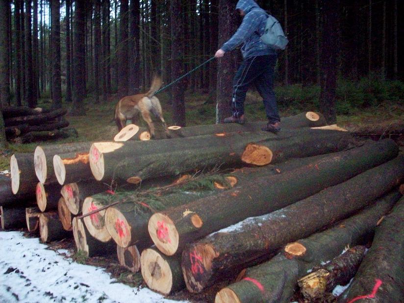 100_6537.jpg