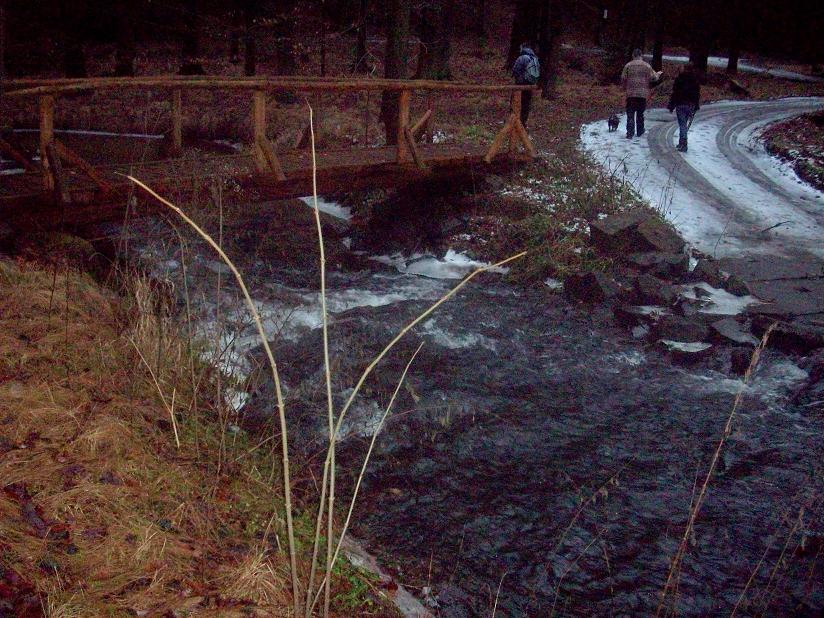 100_6546.jpg