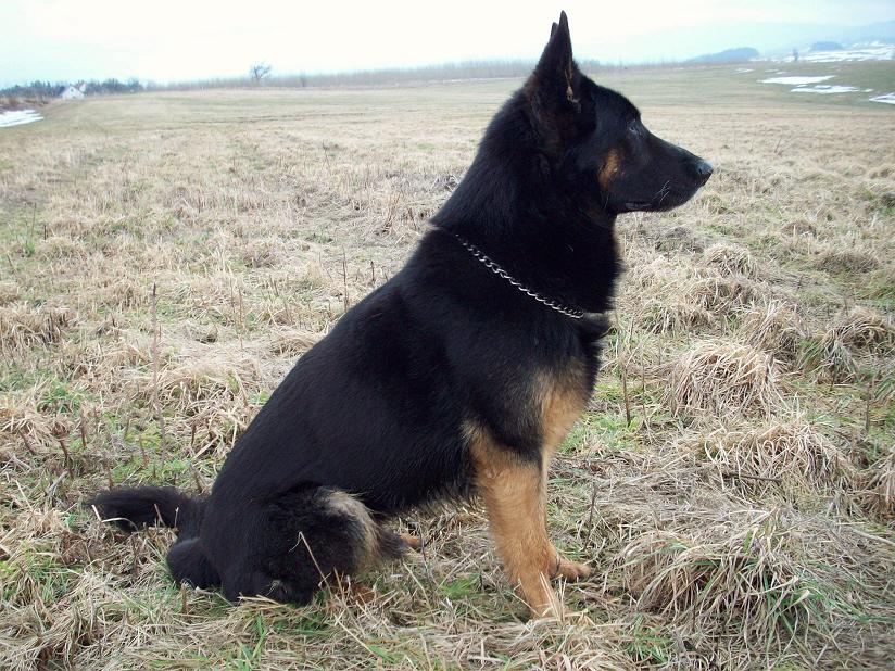 100_7083.jpg