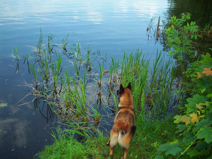 100_7948.jpg
